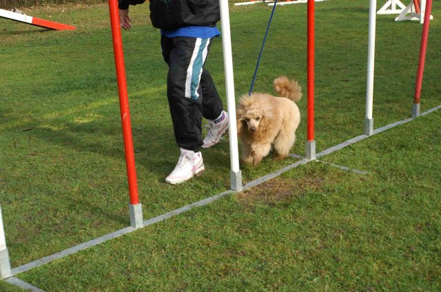 agility 2011-10-30